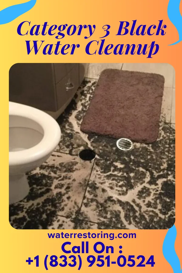 Category 3 Black Water Cleanup in Lansdale, PA