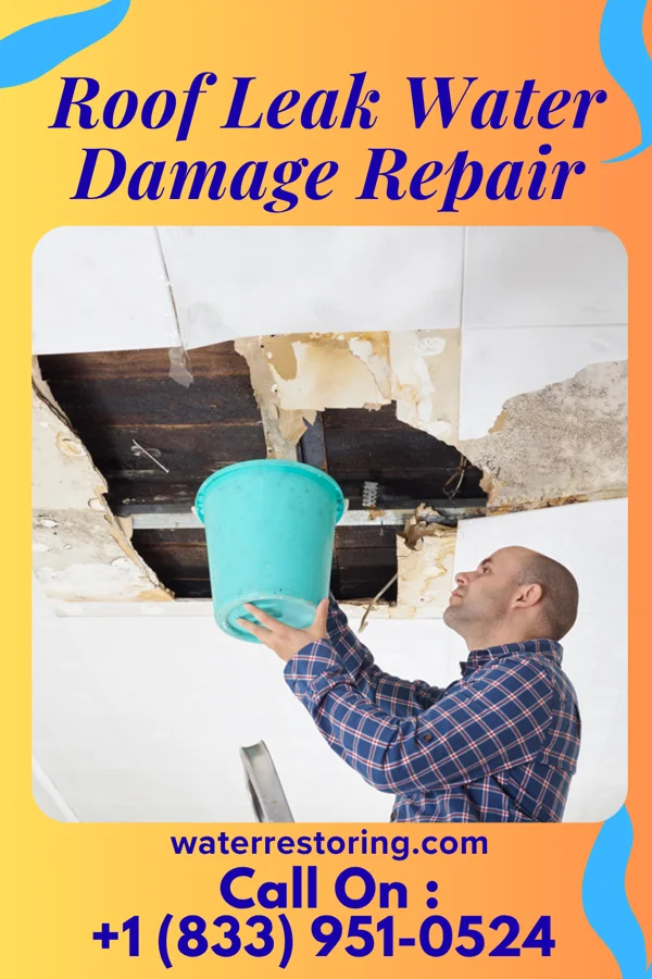 Roof Leak Water Damage Repair in Lansdale, PA