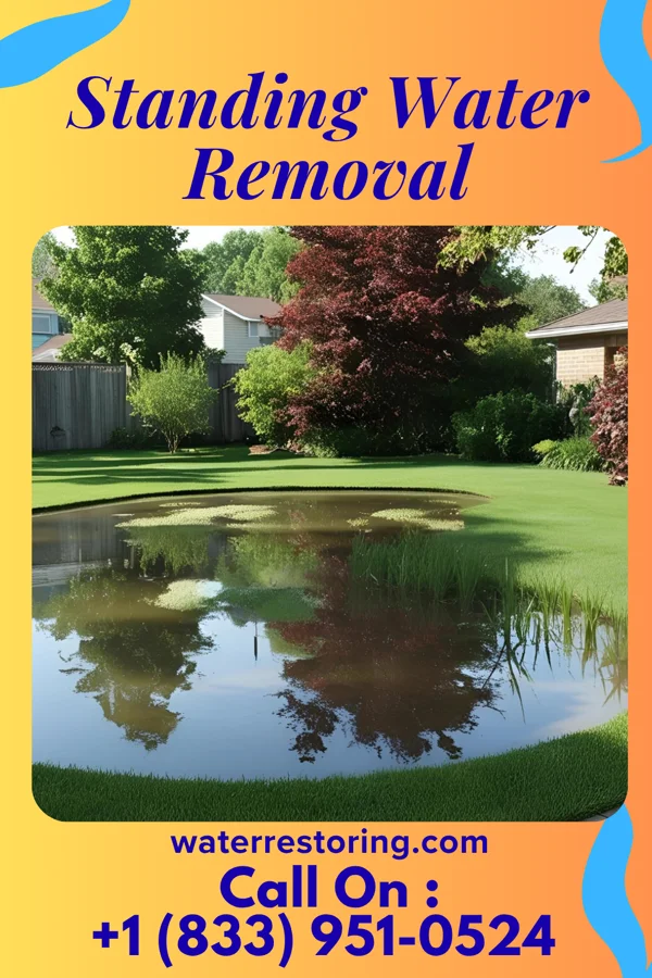 Standing Water Removal in Lansdale, PA